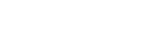 Logo Duda development